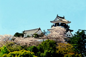 [ 高知城 ]