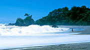 桂浜