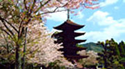 瑠璃光寺五重塔（山口市）
