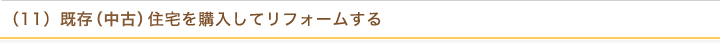 （11）既存（中古）住宅を購入してリフォームする