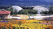 笛吹川フルーツ公園