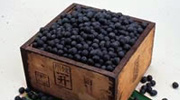 丹波黒大豆