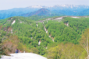 白神山地周辺 [ 白神山地 ]