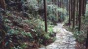 熊野古道